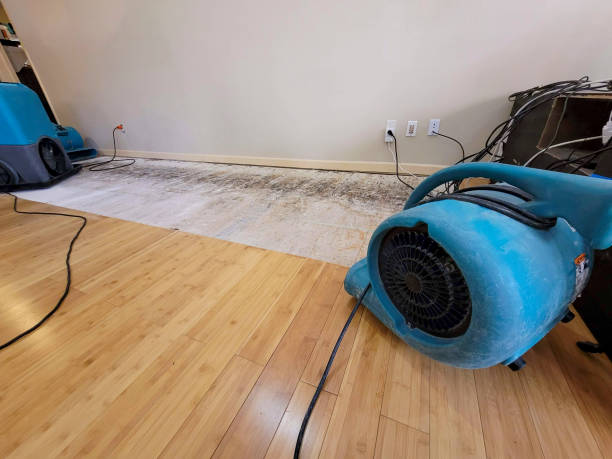Professional Sewage Cleanup technician working in Tehachapi, CA